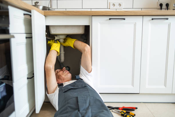 Best Commercial Plumbing Services  in Brookdale, CA